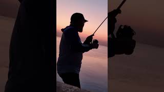 jubail jubailcitycenter indojubail casting fishing [upl. by Latouche]