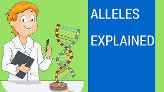 What is an allele   Allele examples [upl. by Nosnor]