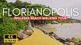 Ingleses Beach Florianopolis Peaceful Walk on One of the Northern Beaches of Florianopolis【4K UHD】 [upl. by Yrdua]