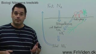 Nitrogens Kredsløb [upl. by Forster]