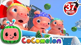 Three Little Pigs Pirate Version  More Nursery Rhymes CoComelon [upl. by Dorsman461]