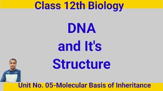 DNA and Its StructureClass 12th Biology [upl. by Nairdna]