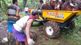 Superbull Infield Collection G100 Dump Bucket Kap 700 KG [upl. by Eciryt]