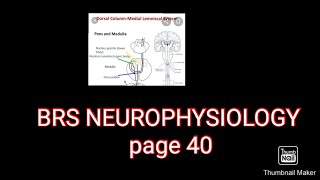 Dorsal column tract  BRS physiology page 40 fcps part 1 preperation [upl. by Netsruk957]