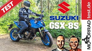 Suzuki GSX8S  Test deutsch [upl. by Ola]