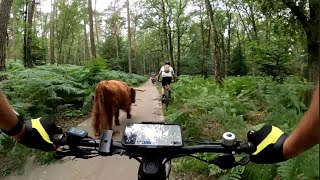 MTB route Rheden 4K [upl. by Alahc]