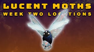 Destiny 2 The Witch Queen  All Lucent Moth Locations Week Two  Lepidopterist Triumph Guide [upl. by Nekcerb]