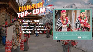 kinnauri Top EDM song Remix  PahadiLofi295  KInnauri mashup [upl. by Anasxor856]