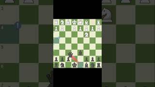 Birds opening trap chess chesstraps [upl. by Mmada]