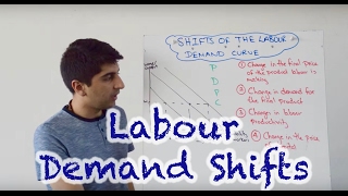 Labour Demand Curve Shifts [upl. by Nola639]