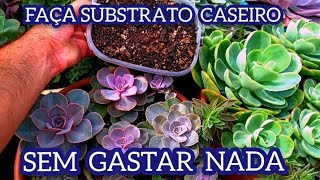 COMO FAZER SUBSTRATO CASEIRO SEM GASTAR NADA PARA SUCULENTAS CACTOS E PLANTAS [upl. by Nanor51]