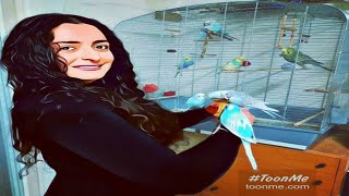 الفاش الرئوي عند الطيور البادجي و أنواع الفاش ٧، أعراضه ، علاجه و طرق الوقاية منه 💊💉🦜 [upl. by Fronniah940]