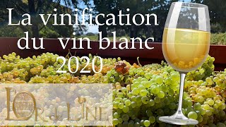 La vinification de notre blanc 2020 [upl. by Weiss]