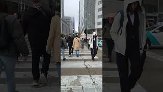 Chicago downtown crossing the street travel chicago asmr youtubeshorts trending viralvideo [upl. by Ifok]