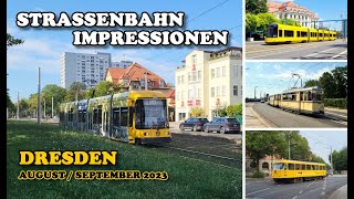 Straßenbahn Dresden  Straßenbahn Impressionen  AugustSeptember 2023 [upl. by Jeanne]