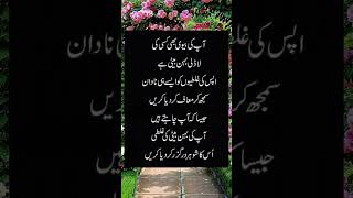 اپکی بیوی flute music cover ringtone recorder quotes backgroundmuisc musiclove poetry back [upl. by Packston]