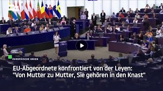 AKTUELL  REDE EVA ZAJACZKOWSKAHERNIK  EU ABGEORDNETE  AM 18JULI IN STRASSBURG  FRANKREICH [upl. by Aztiraj]