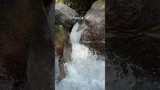 Feel The Water Noice 😍waterfall mountain shortvideos [upl. by Hakvir140]