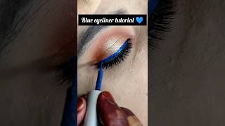 Blue eyeliner tutorial 💙shortfeed eyelinertoturial shortvideo shorts trandingmakeup ytshorts [upl. by Nnyroc]