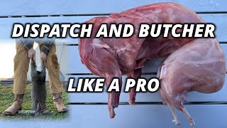 How to Raise and Butcher Meat Rabbits COMPLETE GUIDE [upl. by Nilac315]