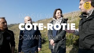 Dans le vignoble de CÔTEROTIE au Domaine Duclaux [upl. by Seth]