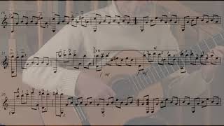 Gulumcan  Murat Isbilen Guitar arrangement [upl. by Haimrej776]