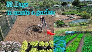 How to Create a Home Garden for Beginners [upl. by Litman]