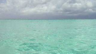 Sibonne amp Somerset Beach Resort  Providenciales Turks amp Caicos Islands [upl. by Znieh613]