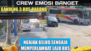 RICUH CREW MARAH‼️ 3 BUS BAGONG BENTROK REBUTAN PENUMPANG [upl. by Jessa]