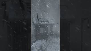 SNOWSTORM near lonely hut Blowing wind Howling wind Cold winter sounds [upl. by Dewie]