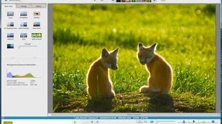 Google Picasa Free Photo Editing Program Tutorial [upl. by Boff]