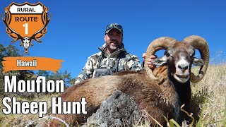 SUCCESS  Mouflon Hunt  Hawaii 2022  rr1hunt [upl. by Eicart46]