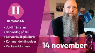 Härnösandtv  14 november 2024 [upl. by Enella]