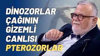 Dinozorlar Çağının Gizemli Canlısı Pterozorlar [upl. by Saltzman]