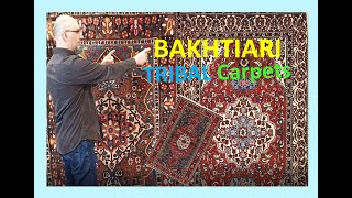 BAKHTIARI Tribal Carpets  Handmade Persian Tribal Rugs  Examples amp Info [upl. by Aibat]