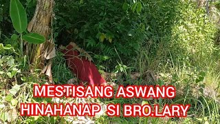 KAILANGAN BAMIN NAHULI NI BROLARRY ANG KASAMA NG MESTISANG ASWANG [upl. by Olegnad231]