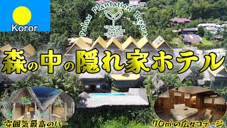 本当は教えたくない、森の中の隠れ家ホテル！パラオプランテーションリゾート宿泊記 [upl. by Cantlon]