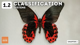 IGCSE Biology  Concept and Uses of Classification Systems 12 [upl. by Sirromed979]