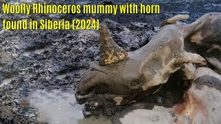 Woolly Rhinoceros mummy with horn found in Siberia 2024 [upl. by Abramson203]