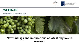 New findings and implications of latest phylloxera research [upl. by Backer]