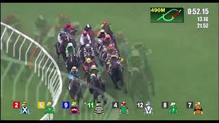 HK Horse Racing at Shatin  Race 7 09112024 prestonepie4395 [upl. by Sharona]