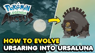 How To Evolve Ursaring Into Ursaluna In Pokemon Legends Arceus [upl. by Ribaj727]