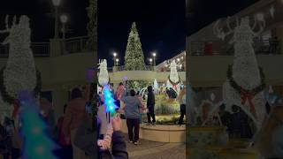 Christmas tree grand illumination [upl. by Artemisia167]