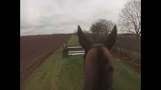 Berwickshire Hunt Race 4th Feb 2023 at Bughtrig [upl. by Stephanie24]