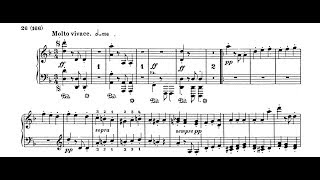 BeethovenLiszt  Symphony 9 Molto vivace  Cyprien Katsaris Piano [upl. by Anselme494]