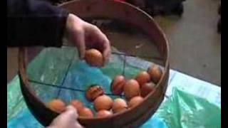 2008 Shepton Beauchamp School  Shackling Eggs [upl. by Relyuhcs]