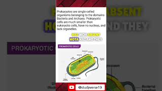 What are prokaryotic cell biology science cell [upl. by Marashio783]