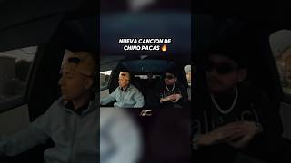 Morena Canela 🔥 claveespecial jop chinopacas corridoschingones streetmobrecords [upl. by Lupe723]