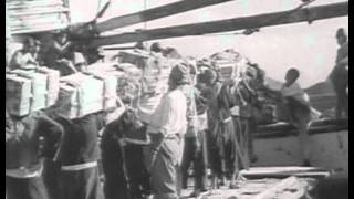 world war 2 full documentary [upl. by Nolahs575]