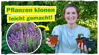 VEGETATIVE VERMEHRUNG Pflanzen über Pflanzenteile vermehren🌱 [upl. by Enyamert]